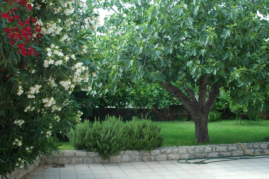 Villa Agnic Trogir Zewnętrze zdjęcie